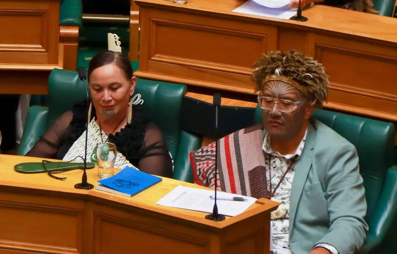 Te Pāti Māori co-leaders in debating chamber, December 2023